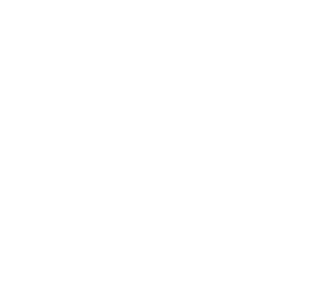 Ecole Nationale Polytechnique Logo White